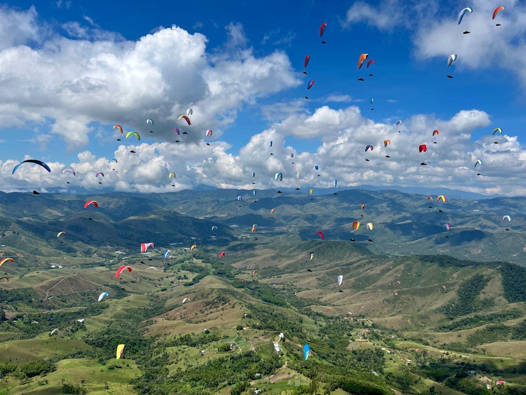 Paragliding Expert Witness